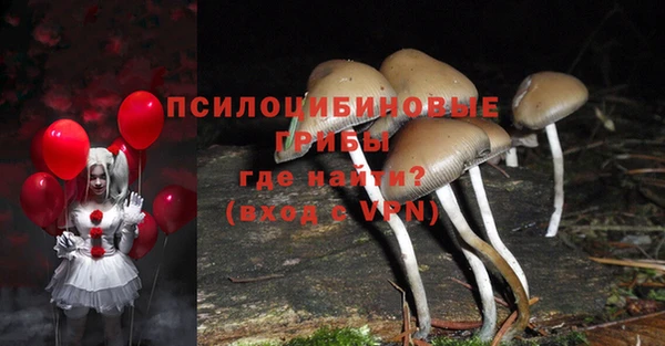 кристаллы Алексин