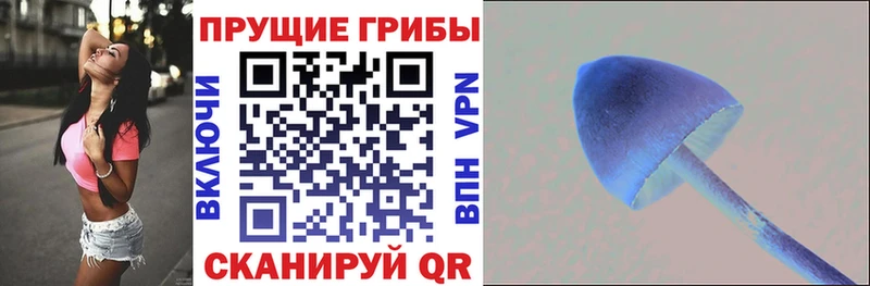 магазин продажи   Гаврилов Посад  Псилоцибиновые грибы GOLDEN TEACHER 